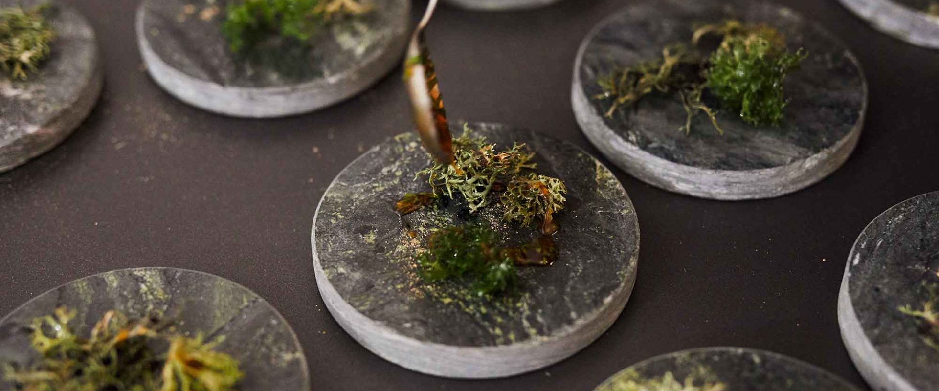 Flechten essen mit Julia Schwarz