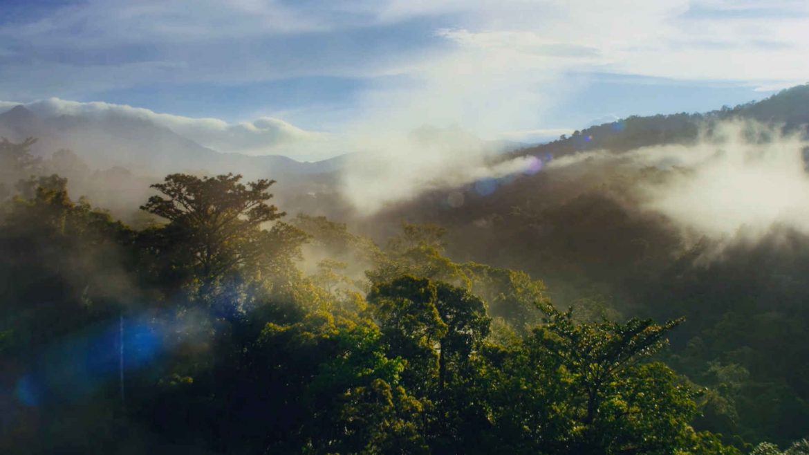 VELUX WWF klimaneutral