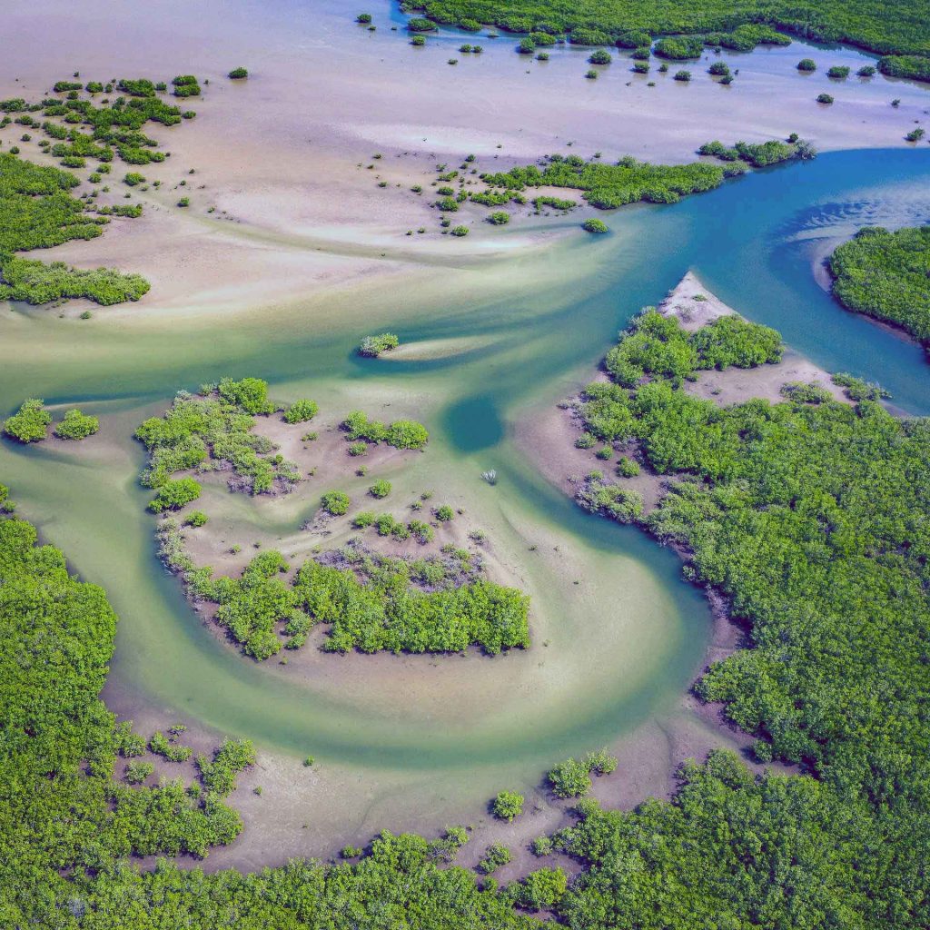 Mangroven-Landschaft im Senegal. © Mariusz Prusaczyk, Pixabay