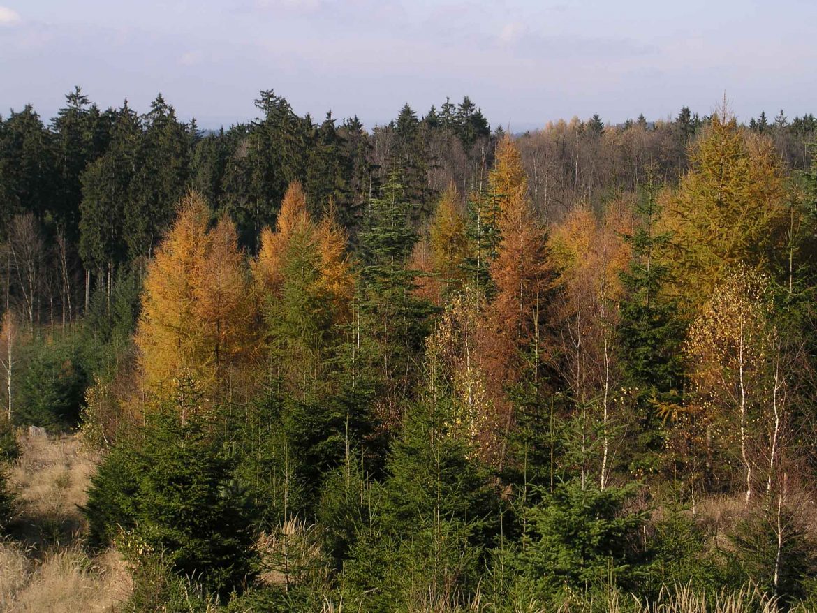 FSC Furniture Awards 2021