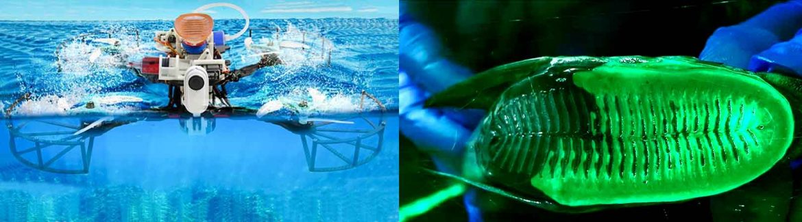 Luft-Wasser-Drohne, Empa