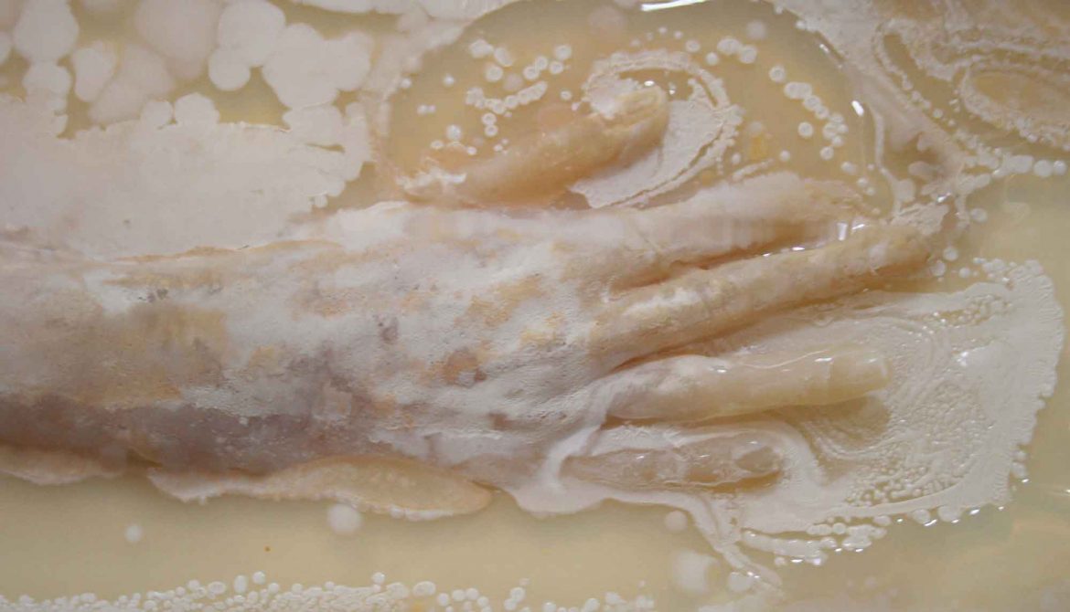 Sonja Bäumel, Triennale Milano