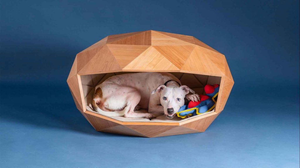 Dome Home, Foster + Partners, Goodwoof