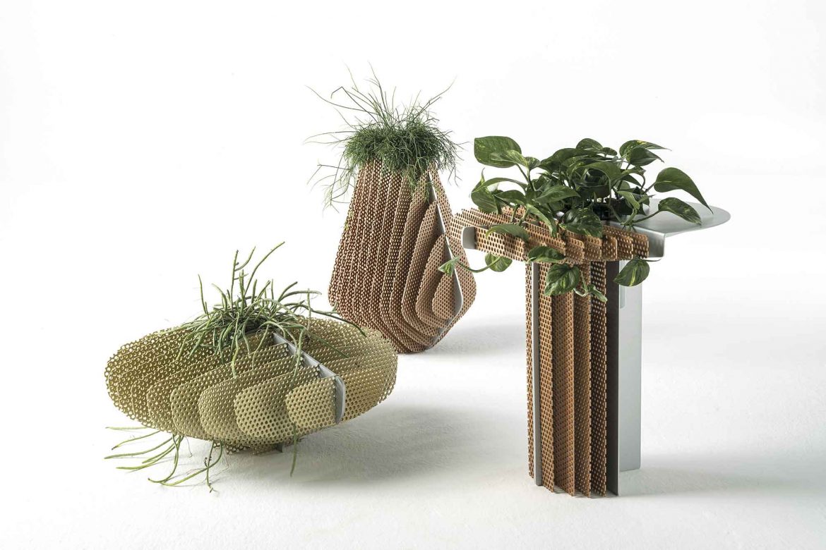 JCP Universe, Coloniae