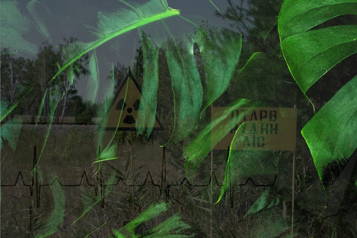 Inside Plants, Artist in Lab 2022, Fraunhofer