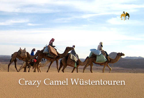 Crazy Camel Wüstentouren