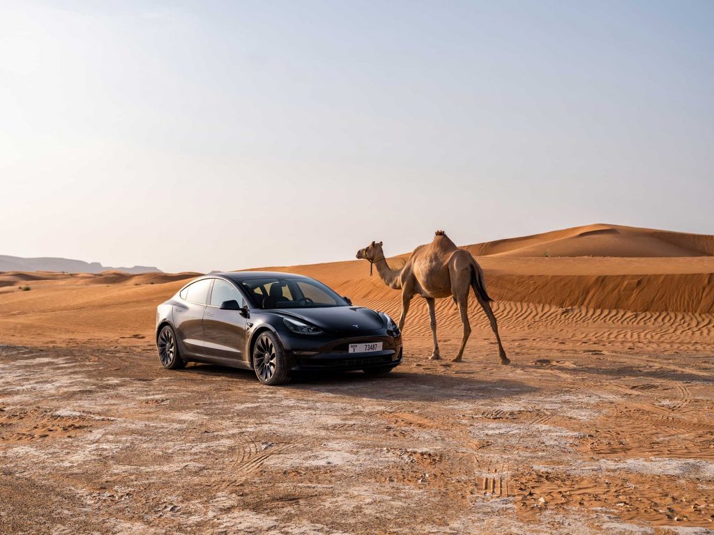Model 3 mit Kamel © Courtesy of Tesla, Inc.