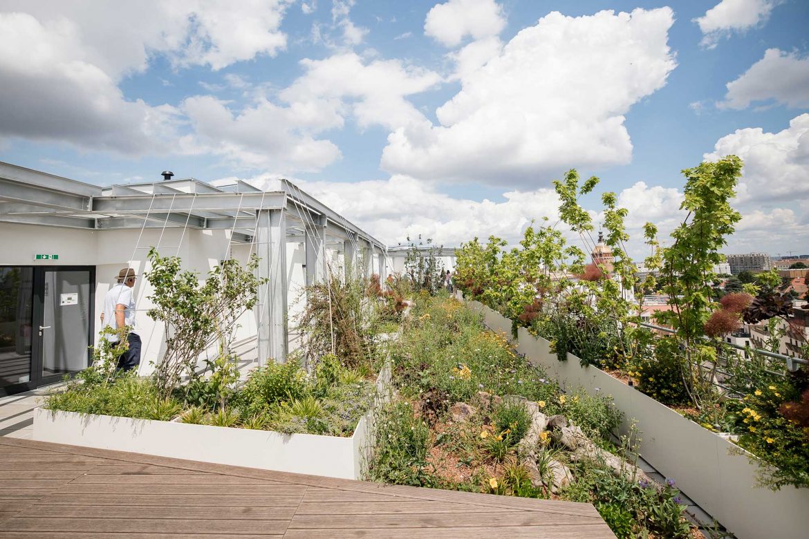 biotope city, Wohnen mit Zukunft