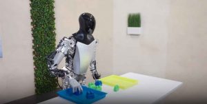 Roboter Optimus sortiert Bausteine autonom. © Tesla