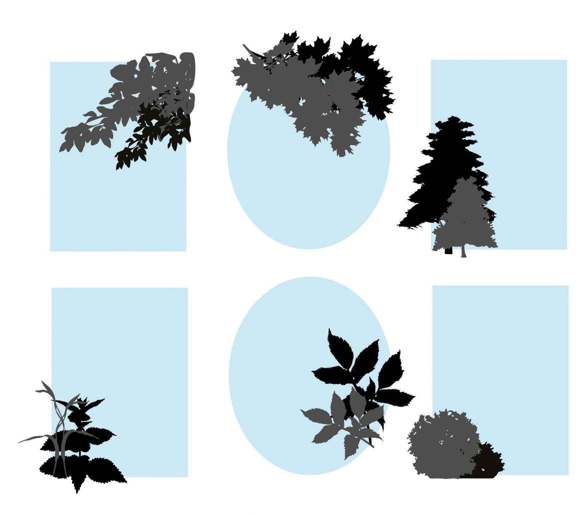 Lucy.D. Bad Ischl Salzkammergut 2024