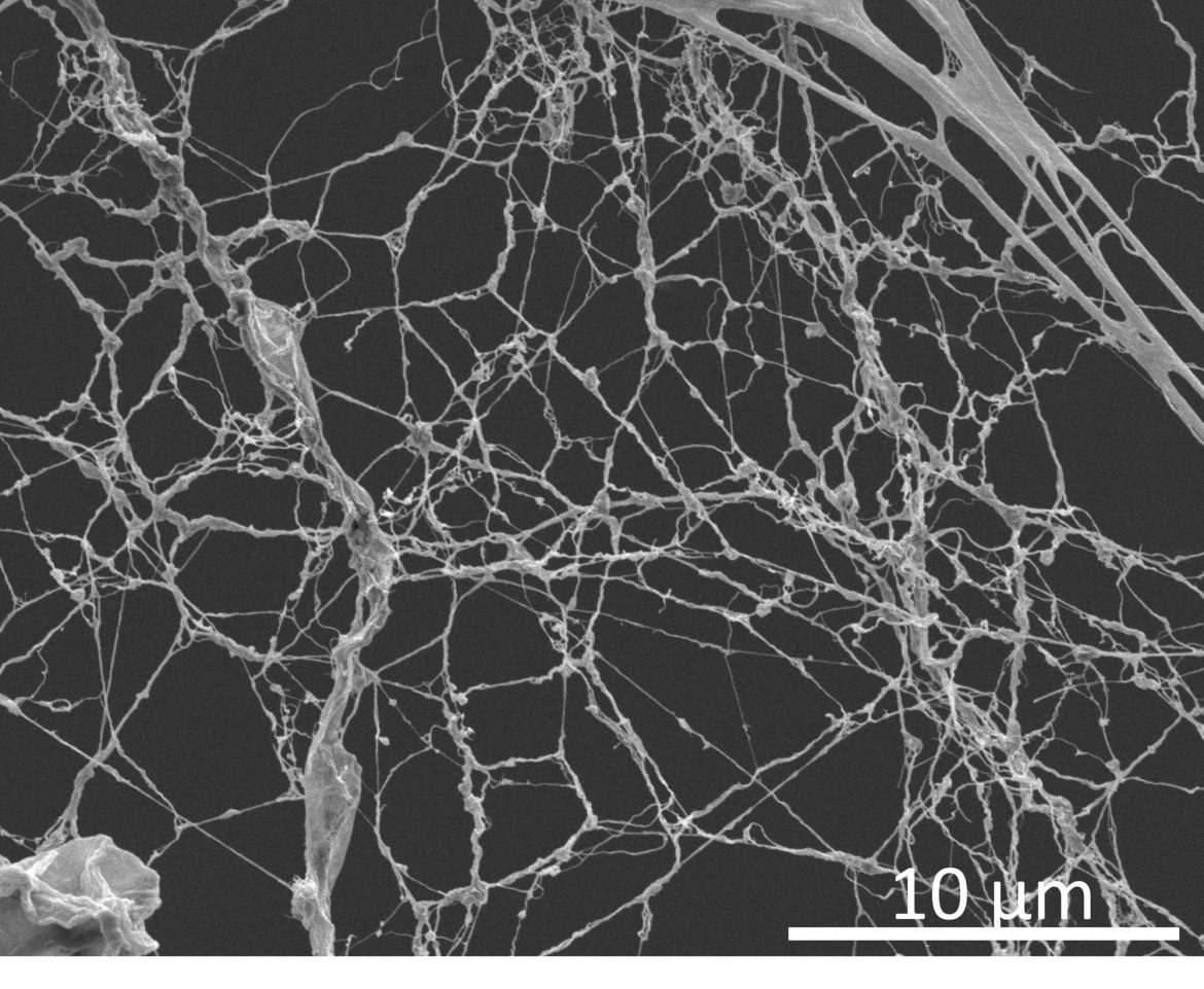 Cellulose-Nanofasern, Empa